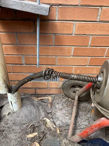 Drain Cleaning