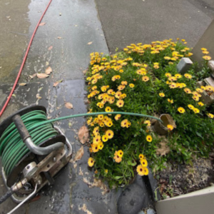 High Pressure Water Jet Drain Cleaning